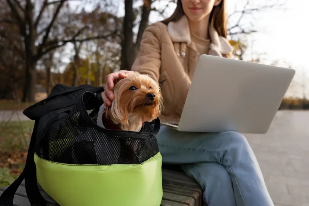 Pet dentro de bolsa de transporte ao lado de mulher usando notebook