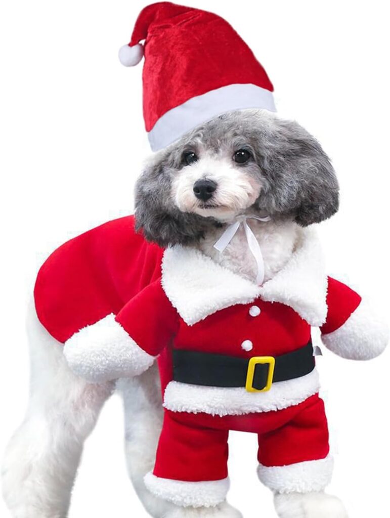 Fantasia de Papai Noel para cachorro pequeno com capuz de Natal
